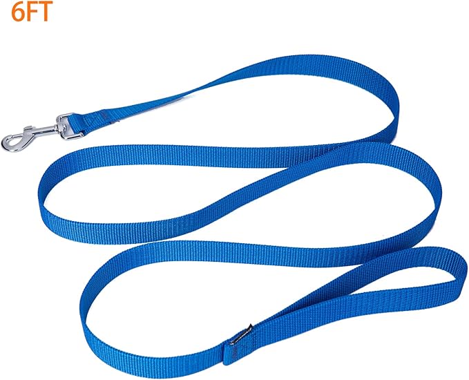 Strong Durable Nylon Dog Training Leash, 1 Inch Wide Traction Rope, 6 ft 10ft 15ft Long, for Small and Medium Dog (Blue, 6 Feet)