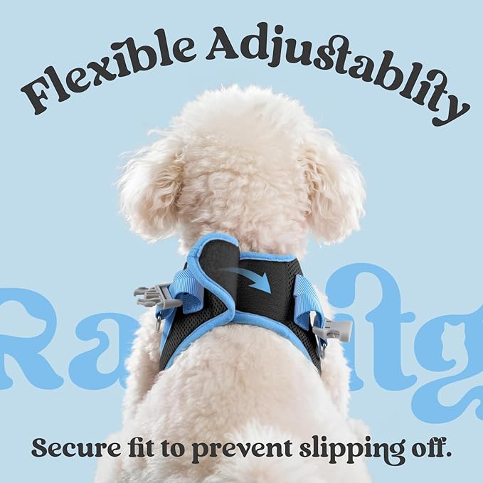 rabbitgoo Dog Harness Small Sized and Leash Set, Step-in Breathable Pet Harness, Soft Walking Reflective Puppy Vest for Small Dogs, Black & Light Blue, M
