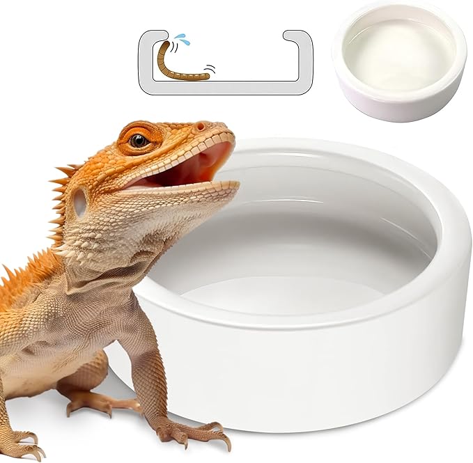 Ceramic Reptile Bowl - Mealworms & Cricket Dish for Gecko, Bearded Dragon & Chameleon - XL(5in) Anti-Escape Feeder