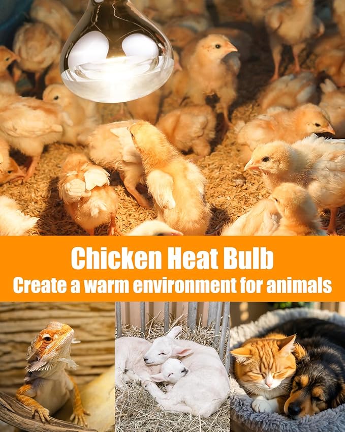 250W R40 Heat Lamp Bulbs, 8000 Hours Rated, Bathroom Shower Incandescent Light Bulb, Infrared Heating for Chickens, Reptiles, Pets, Food, E26 Base, 12 Pack