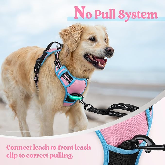 rabbitgoo Dog Harness No Pull with 2 Leash Clips, Adjustable Soft Padded, Reflective Oxford No Choke Pet Vest with Easy Control Handle for Small Dogs, Pink & Blue, S