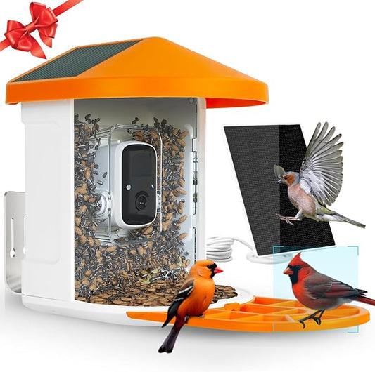 DCT Smart Bird Feeder with Camera - 1080P HD Camera Feeders for Outside, AI Bird Identify, Squirrel-Proof, Ideal Gifts for Lovers & Elderly, Wireless WiFi