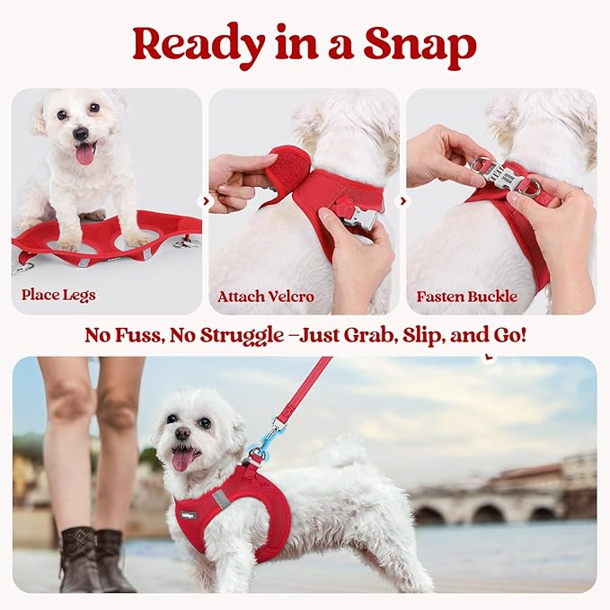 rabbitgoo Dog Harness Small Sized and Leash Set, Step in Soft Light Puppy Vest, Breathable Mesh Pet Harness, Reflective for Safe Easy Walking, Red S