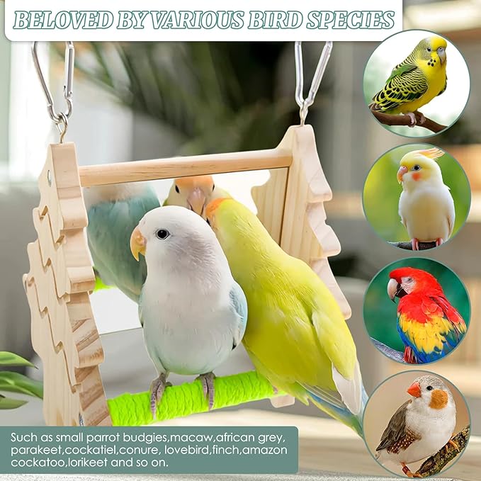 Small Bird Mirror Parrot Swing,Bird Stand Perch Toy,Double Sided Mirror Swing with Chew Flower Perch Safe Parakeet Budgie Cockatiel Cage Accessories for Biting Anxiety.