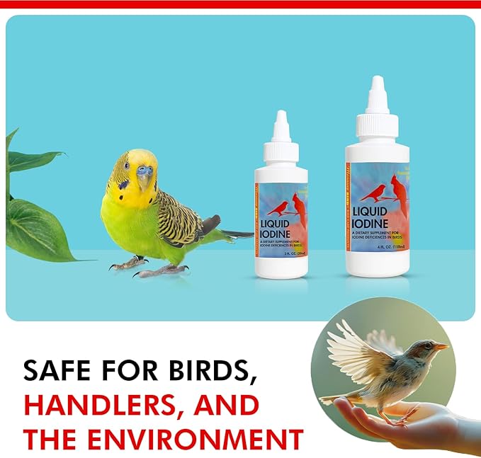 Morning Bird Liquid Iodine for Birds 4 fl. oz – Iodine Drops for Feather Growth, Support Molting, Energy & Thyroid – Easy-to-Use Mineral Supplement Formula for All Bird Types