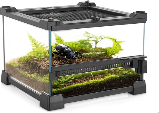 Mini Reptile Glass Terrarium 8"x8"x6" Durable Reptile Habitat Tank with Heat Resistant Aluminum Alloy Frame, Single Swinging Doors for no Jam by Sand and Other Debris