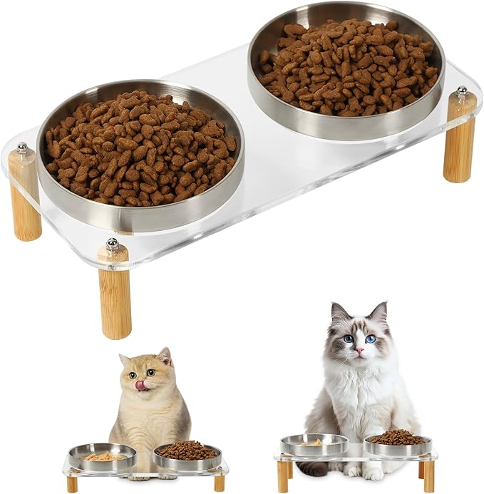 Elevated Cat Bowls for Indoor Cats – Clear Acrylic Cat Food Table with 2 Stainless Steel Dishes, Adjustable Height (4.05"/2.87"), Raised Feeding Station for Easy Digestion