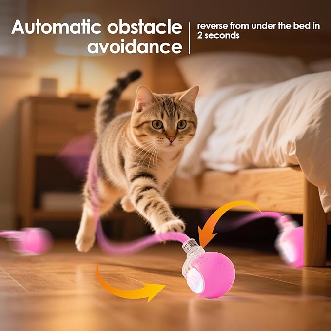Interactive Cat Toys for Indoor Cats with Birds Chirping and RGB Light - Motion Activated Ball for Bored Adult Cats