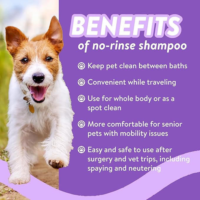 Bodhi Dog Waterless Shampoo - Natural Dry Shampoo for Dogs & Cats - Neutralizes Pet Odor - No Rinse Required - Made of Natural Extracts - Safe for Sensitive Skin - Made in USA - Lavender (8 Fl Oz)