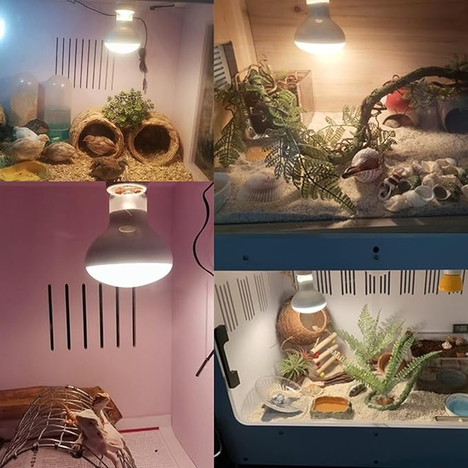 Aiicioo Reptile Basking Light Bulb - 150W Reptile Heat Lamp 2 Pack UVA Daylight Amphibians Basking Bulb for Bearded Dragon Turtle Hermit Crab Gecko Lizard Chicken