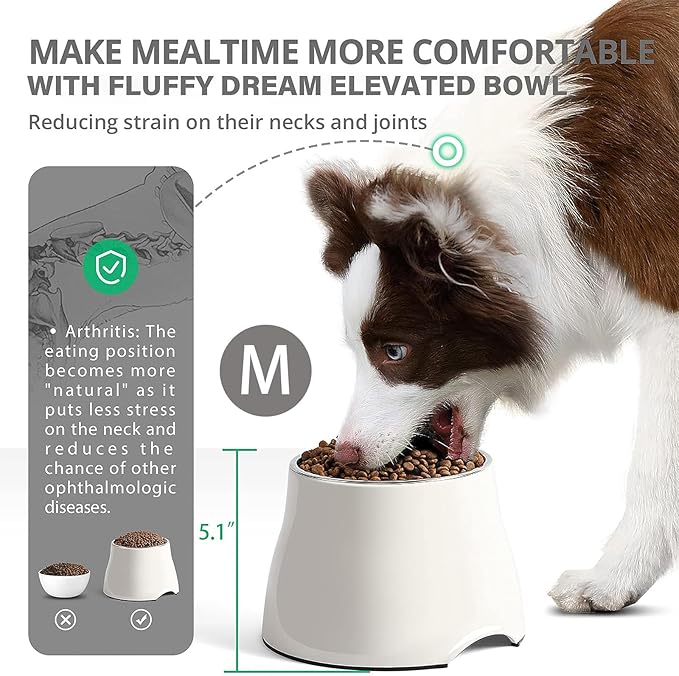 Raised Dog Bowls, Elevated Dog Bowls for Wearing Cone,Cocker Spaniel Long Ears,Neck Stress-Free,Non-Slip Stianless Steel Bowl for Medium/Small Size Dogs