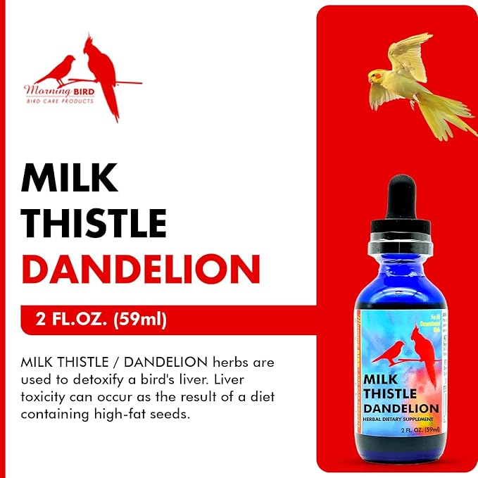 Morning Bird Milk Thistle & Dandelion Extract 2 fl oz - Organic Bird Supplement for Optimal Health – Support Liver Heath & Promotes Detox - Suitable for All Birds Species
