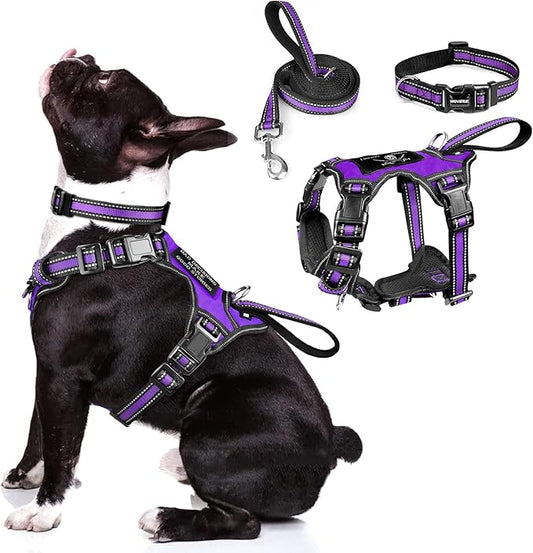WINSEE Pet Harness Collar and Leash Set, All-in-one Reflective Dog Harness No Pull with Adjustable Buckles for Puppies, Small, Medium, Large, and Extra-Large Dogs (Medium, Purple)