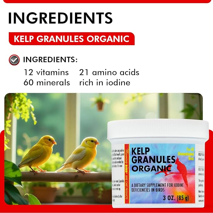 Morning Bird Kelp Granules 3 Oz – Iodine Supplement for Birds – Supports Feather Growth, Molting & Metabolism – Rich in Amino Acids, Trace Minerals & Natural Vitamins – Clean Nutrition for All Birds