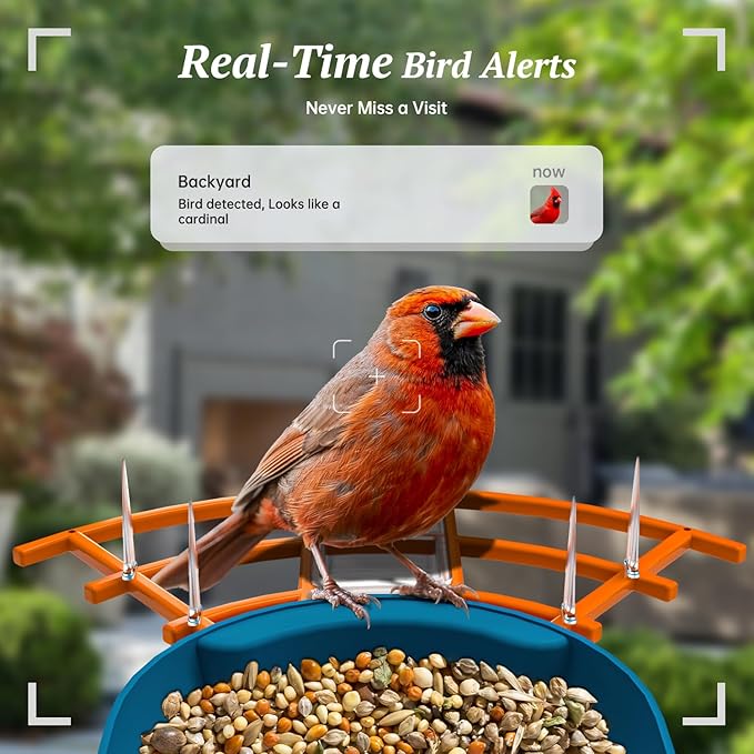 Smart Bird Feeder with Camera, 2K HD AI Identify Birds Species, Bird Watching Camera with Solar Panel, Auto Capture Bi rd Videos & Instant Notifications, Ideal Present for BirdLover