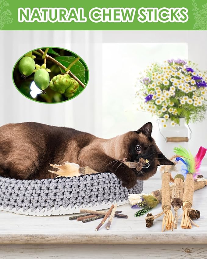TINDTOP Silvervine Chew Sticks for Cats, 12 Pack Natural Catnip Chew Toys for Kittens Teeth Cleaning, Matatabi Dental Care, Increase Appetite, Calm Cat Anxiety and Stress, Cat Dental Toy