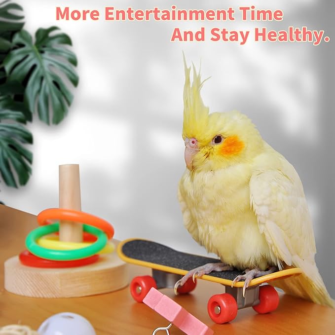 Bird Toys for Parakeets,5pcs Parrot Toys Set (Include Basketball Hop,Skateboard,Stacking,Parrot Wooden Block Puzzles,Small Sepak Takraw) Parakeet Toys for Bird Training Toys