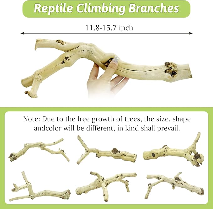 VCEPJH 4 Pcs Reptile Plants, Climbing Wood Branch Terrarium Hanging Fake Plant Leaves Bearded Dragon Tank Accessories, Habitat Decor for Snake Leopard Gecko Lizard Chameleon (Style 2)