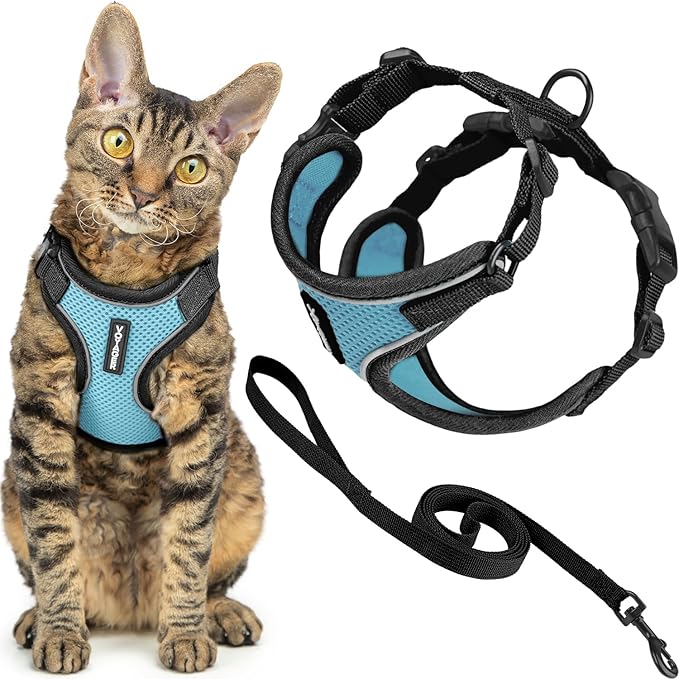 Voyager Escape Proof Cat Harness and Leash Set with Reflective Stitching, Neoprene Handle 5ft - Supports Small, Medium and Large Cats, Kittens for Walking by Best Pet Supplies - BT-Baby Blue, XXXS