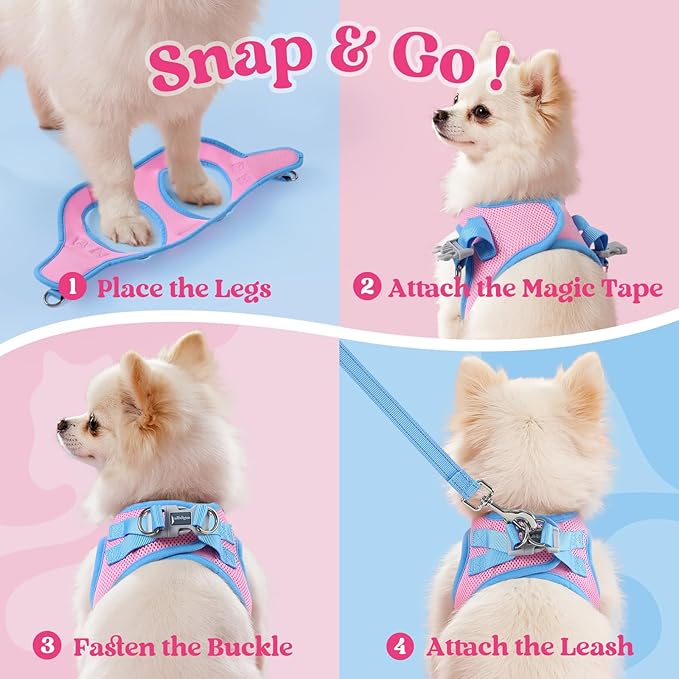 rabbitgoo Dog Harness Small Sized and Leash Set, Step-in Breathable Pet Harness, Soft Walking Reflective Puppy Vest for Small Dogs, Pink & Light Blue, L