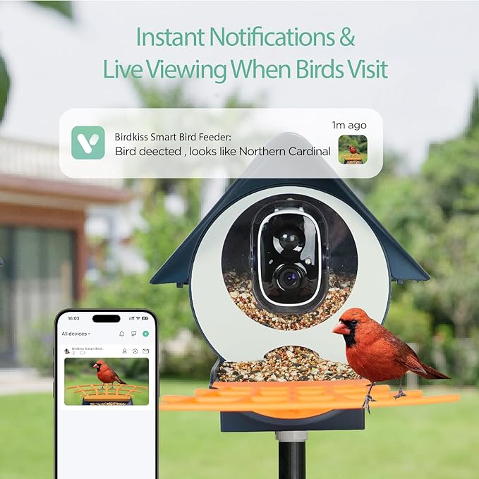 Birdkiss Smart Bird Feeder with Camera, AI Identify Bird Feeder Camera with Solar Pannel, Auto Capture Bird Full HD Videos & Instant Notification, Ideal Present for Bird Lovers