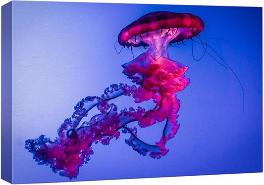 wall26 Canvas Print Wall Art Vibrant Neon Hot Pink Underwater Jellyfish Nature Animals Photography Realism Rustic Scenic Landscape Wilderness Earth for Living Room, Bedroom, Office - 12"x18"