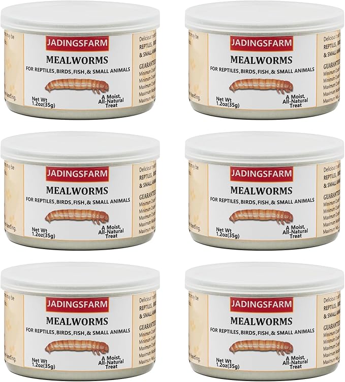 6 Pack Canned Mealworms for Reptiles, Fish, Birds and Small Animals, Meal Worms, Healthy High Protein Treat, Reptile Bird Fish Food 7.2 Ounces Total