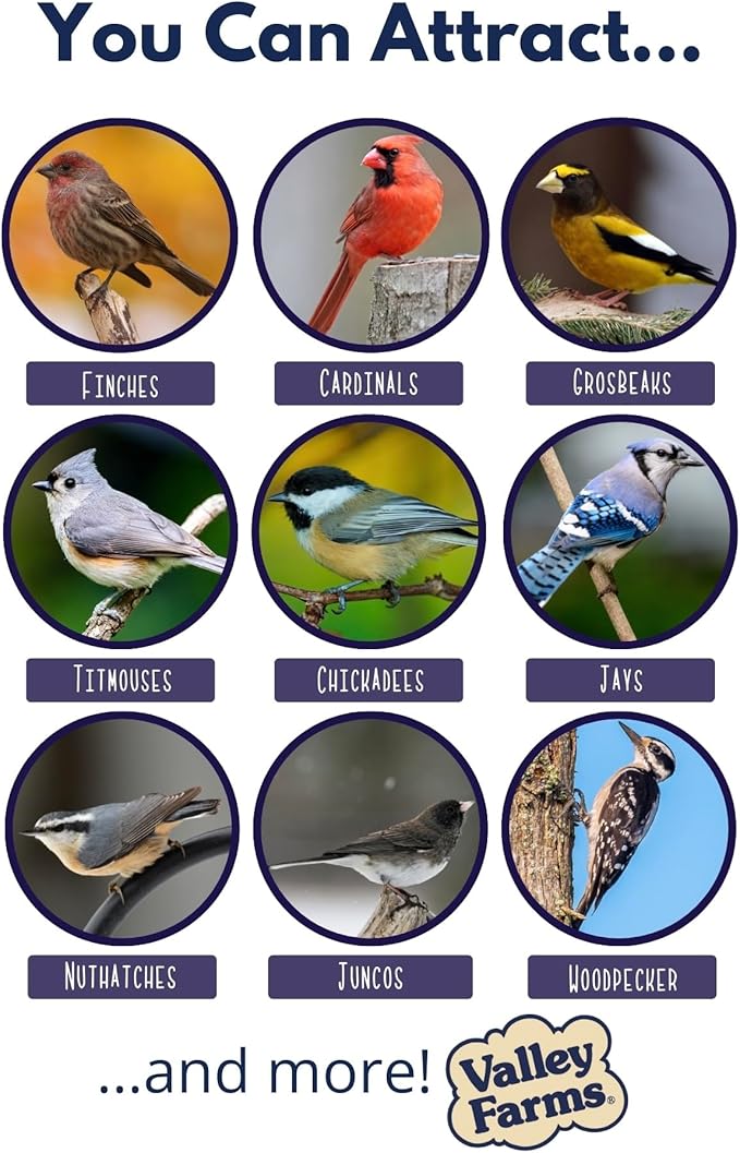 Valley Farms Woodpecker Mix, No Mess Bird Seed for Outdoor Feeders, W/Peanuts and Sunflower Hearts for Birds, Woodpecker Food, Attract All Bird Species (4 LBS)