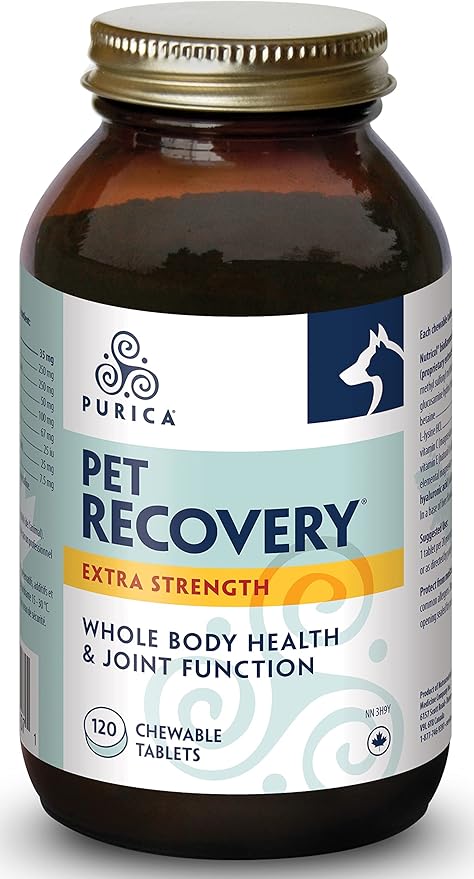 Purica Recovery Extra Strength Dog Supplement - Supports Hip and Joint Health for All Breeds - Contains Nutricol, Hyaluronic Acid, EGCG, Resveratrol - Aims to Enhance Canine Endurance and Flexibility