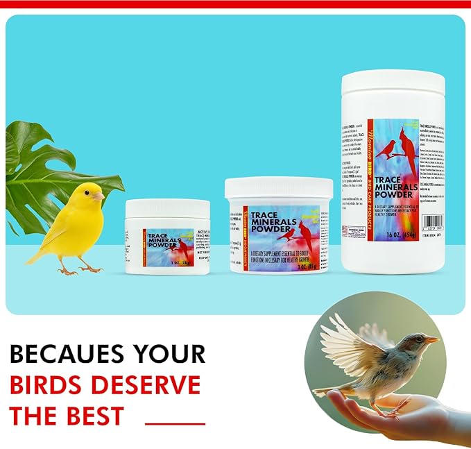 Morning Bird Trace Minerals Powder 3 Oz – Complete Mineral Supplement for Birds – Promotes Energy, Metabolism & Enzyme Activity – Easy to Mix for Daily Vitamin Support.
