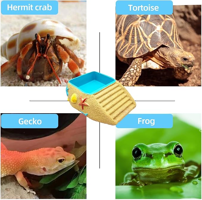Hermit Crab Water Bowl with Climbing Ramp, Resin Reptile Water Dish Tortoise Habitat Accessories for Turtle, Snake, Lizard, Frog, Gecko, Bearded Dragon (M)
