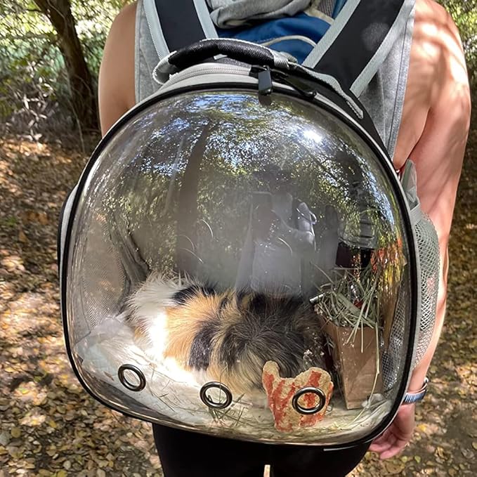 Desert Iguana Backpack Carrier,Bearded Dragon Portable Backpack Carrier with Small Backpack Harness Leash Set,Space Capsule Clear Bubble Window Travel Backpack for Lizard Travel,Guinea Pig,Rabbit