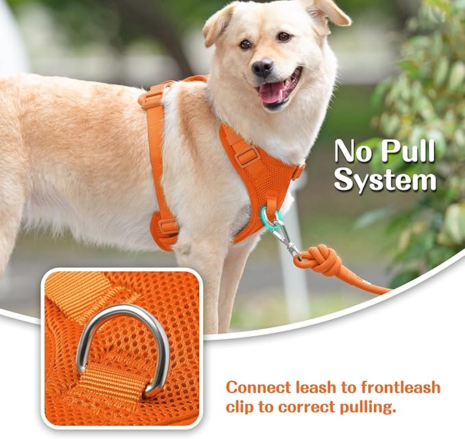 No Pull Dog Harness for Small Medium Large Dogs - Adjustable Two-Layer Mesh Dog Vest with Dual Clip, Escape Proof, Quick Release, Lightweight Breathable Mesh for Walking Hiking (Orange,XS)