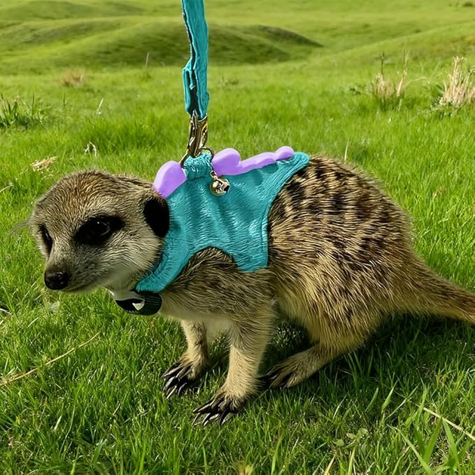 Ferret Leash and Harness Set, Dinosaur Design Small Animal Harness with Leash, Adjustable & Escape-Proof, Soft Plush Comfort for Rabbits, Kitten, Bunny, Hedgehog (Blue)