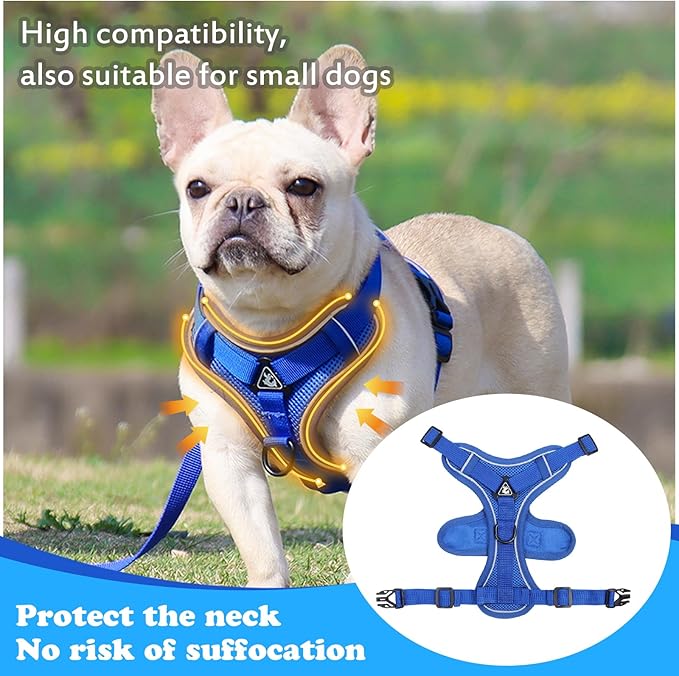 Escape Proof Cat Harness and Leash Set for All Types of Cats - Adjustable Reflective Soft Mesh Vest with 4 Buckles, Breathable Walking Harness for Kittens to XL Cats