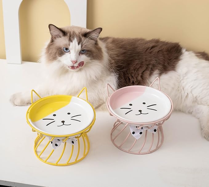 Elevated Cat Bowls with Non-Slip Metal Stand - Raised Food and Water Bowls, Fits Cats & Small Dogs - Dishwasher Safe