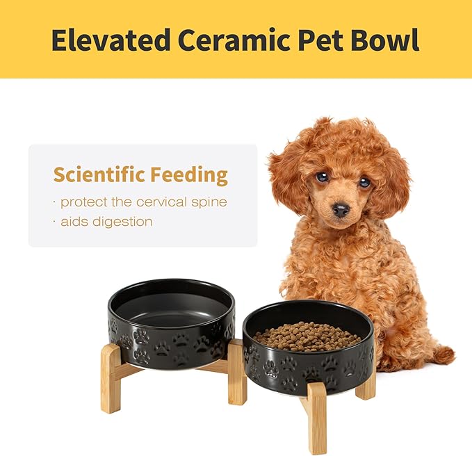 Elevated Ceramic Dog Bowl Set, 5.1" Dog Bowls with Dual Fixed Heights Stand, 1.6 Cup Food & Water Bowls for Toy Breed, Adult Cat, Small-Breed Puppy (Double Bowls + Stand - Black, 5.1 inch)