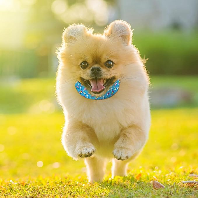 Blue Ice Cream Pet Collar Cat Dog Neck Strap Quick Release Buckle Adjustable Female Male Puppy Corgi