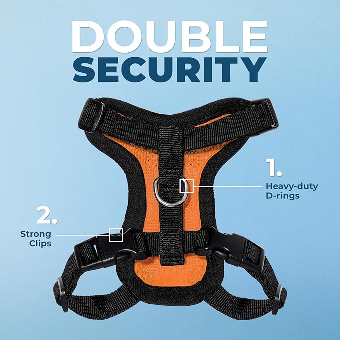 Voyager Step-in Lock Adjustable Cat Harness w. Cat Leash Combo Set with Neoprene Handle 5ft - Supports Small, Medium and Large Breed Cats by Best Pet Supplies - Orange/Black Trim, XS