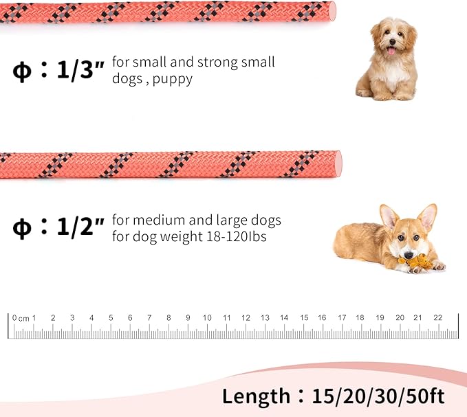 Long Dog Leash for Training 30Ft-Reflective Nylon Rope with Swivel Hook-Recall Agility Lead for Large Small Medium Dogs Outside Walking Hiking-Orange