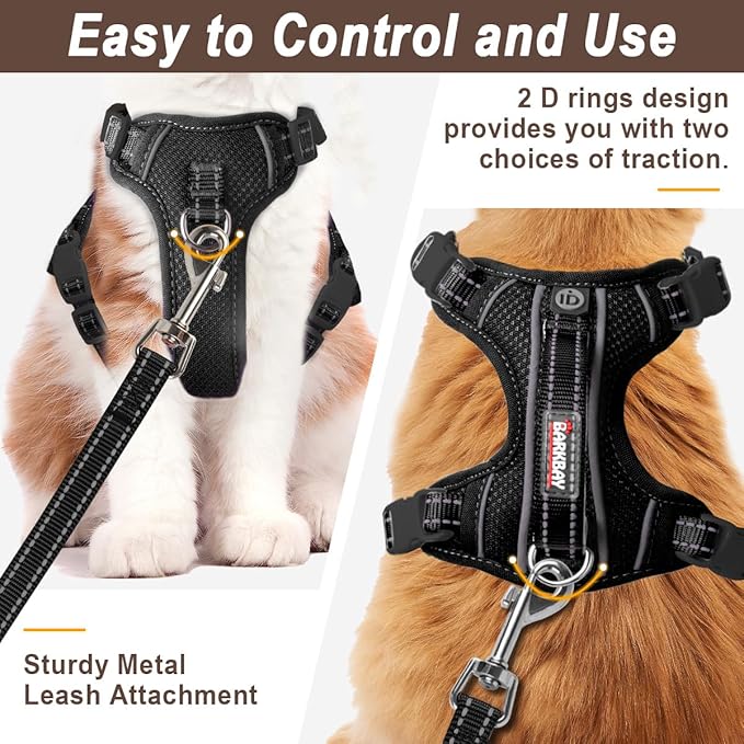 Cat Harness and Leash Set for Walking Escape Proof for Small Large cat Kitten Harness with ID tag Pocket (Black,XXS)