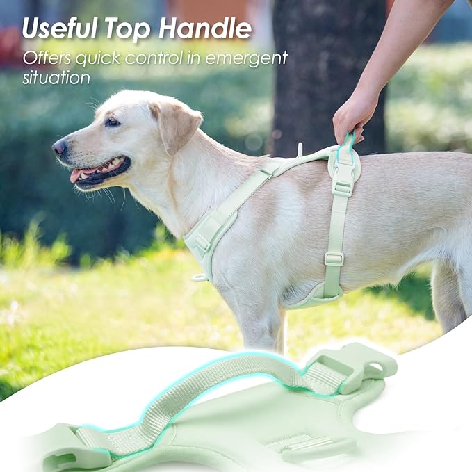 No Pull Dog Harness, Puppy Vest with Front Clip for Small Medium Large Sized Dog(Light Green,L)