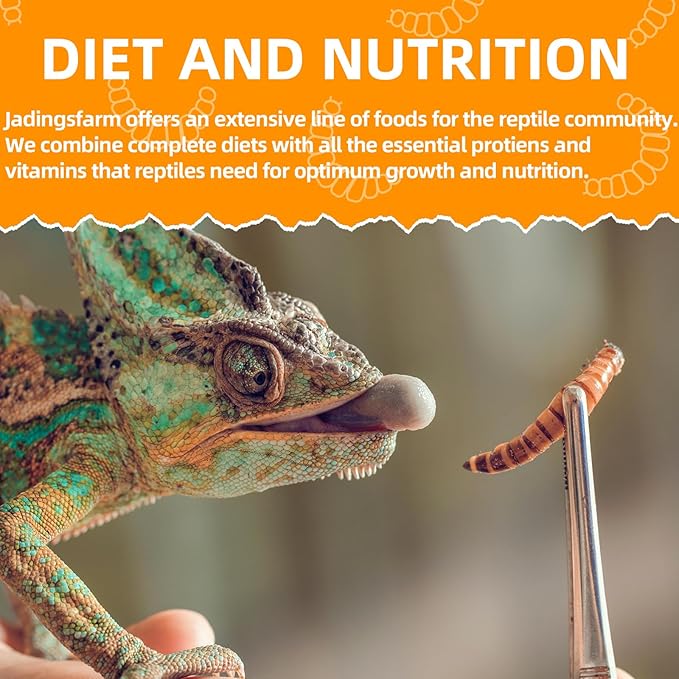 6 Pack Canned Mealworms for Reptiles, Fish, Birds and Small Animals, Meal Worms, Healthy High Protein Treat, Reptile Bird Fish Food 7.2 Ounces Total