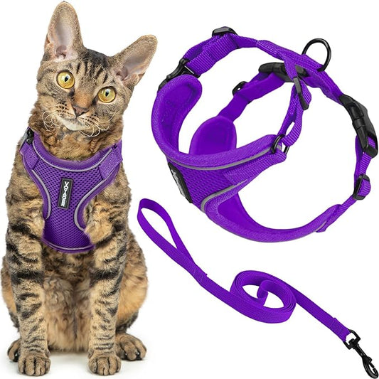 Voyager Escape Proof Cat Harness and Leash Set with Reflective Stitching, Neoprene Handle 5ft - Supports Small, Medium and Large Cats, Kittens for Walking by Best Pet Supplies - Purple, XXS