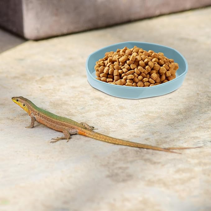 Reptile Water Dish, 4 PCS Bearded Dragon Water Bowl Shallow and Flat Reptile Food and Water Feeder Small Water Dish Tiny Plastic Feeding Dish for Lizard Gecko Chameleon Anoles