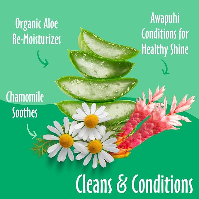 earthbath, Green Tea & Awapuhi Grooming Wipes - Dog Wipes for Paws and Butt, Best Pet Wipes for Dogs & Cats, Made in USA, Cruelty-Free Dog Cleaning Wipes, Removes Dirt & Dander - 100 Count (1 Pack)