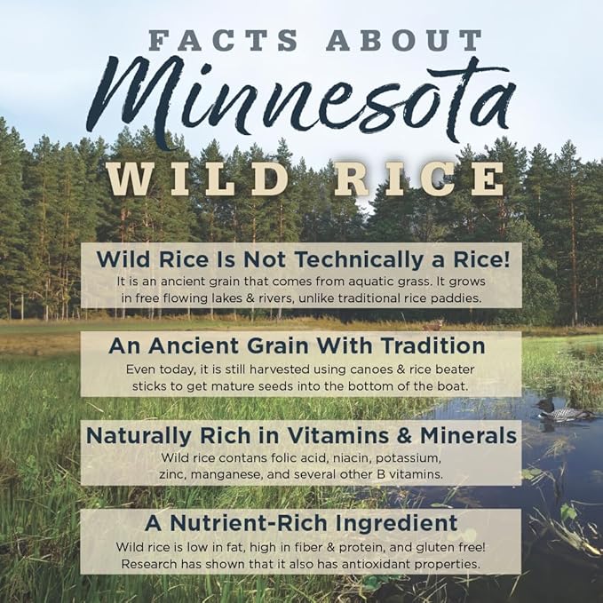 NutriSource Harvest Selects Northern Feast Dog Cans, Premium Wet Dog Food, 12.3 Ounce (Pack of 12)