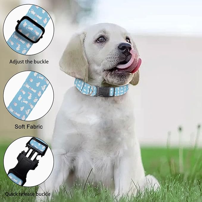 White Rabbit Bunny Blue Pet Collar Cat Dog Neck Strap Quick Release Buckle Adjustable Female Male Puppy Corgi