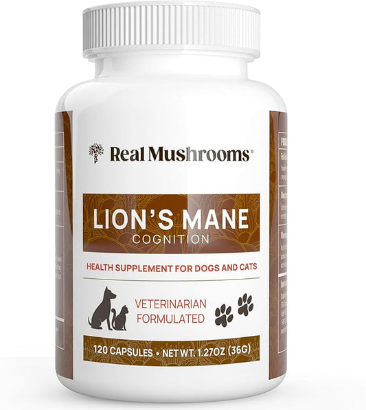Real Mushrooms Lion’s Mane Pet Mushroom Supplement – Pet Wellbeing Capsules – for Cat & Dog Supplement & Vitamins – Support Mindful Routines – Organic, Vegan, Non-GMO, 120 Count