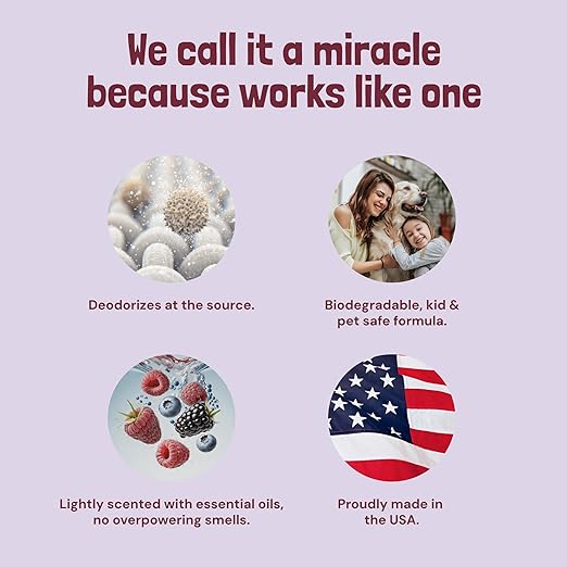 Sunny & Honey Carpet Freshener Powder - 20 Oz Pack, Wildberry Scent - Carpet Deodorizer Powder & Odor Eliminator for Upholstery, Furniture & Rugs, Kid & Pet Safe